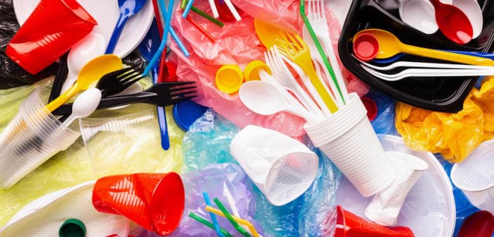 Bu ölkədə birdəfəlik plastik istifadəsi qadağa edilib