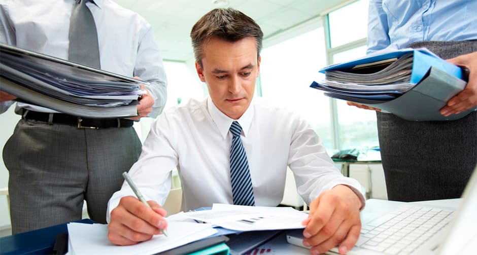 Kiçik auditor - VAKANSİYA