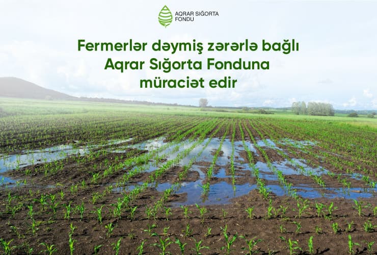 Hava şəraitinin dəyişməsi ilə əlaqədar təsərrüfatlara zərər dəyməsi barədə 20 müraciət daxil olub