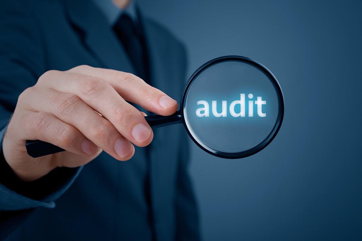 Kiçik Auditor - VAKANSİYA