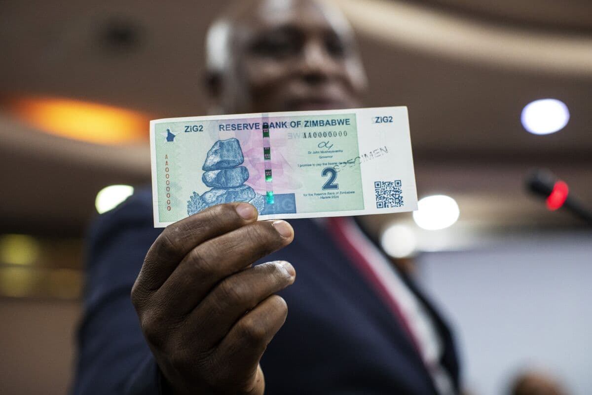 BVF Zimbabvenin ZiG blokuna keçidini "vacib" addım adlandırır