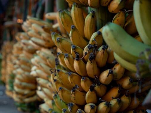 Bananlardan tutmuş batareyalara: Filippin Yaponiya və ABŞ ilə yeni müqavilələr axtarır