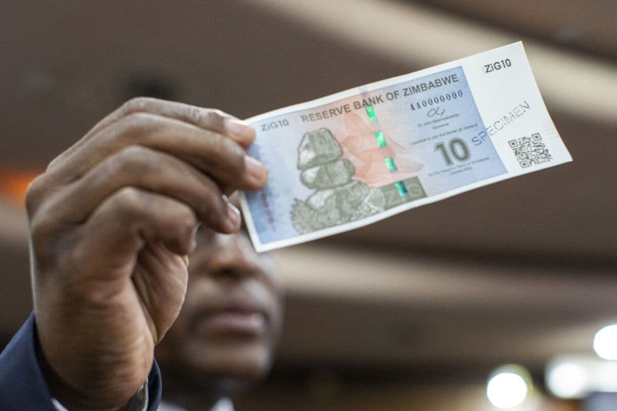ZiG Zimbabve fond bazarına keçid qaydalarını ləğv etməyə çağırır