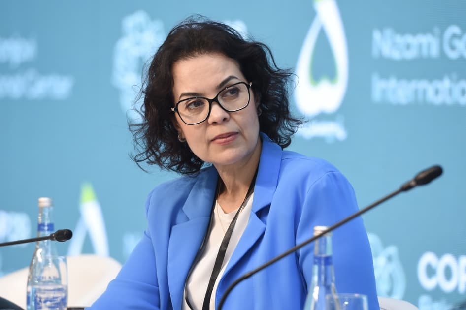 Yüksək Səviyyəli 29-cu Toplantı çərçivəsində günün sonuncu panel iclası təşkil edilib