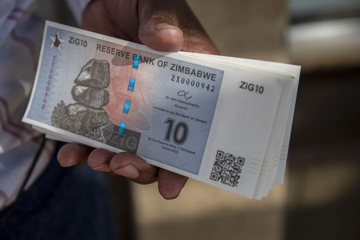 BVF, ZiG valyutasının Zimbabvedəki qeyri-sabitliyə son qoyduğunu söylədi