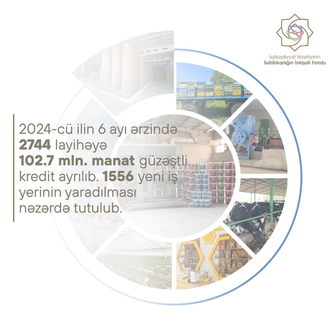 SİF: Bu ilin ilk 6 ayında 102 milyon manatdan çox güzəştli kredit verilib