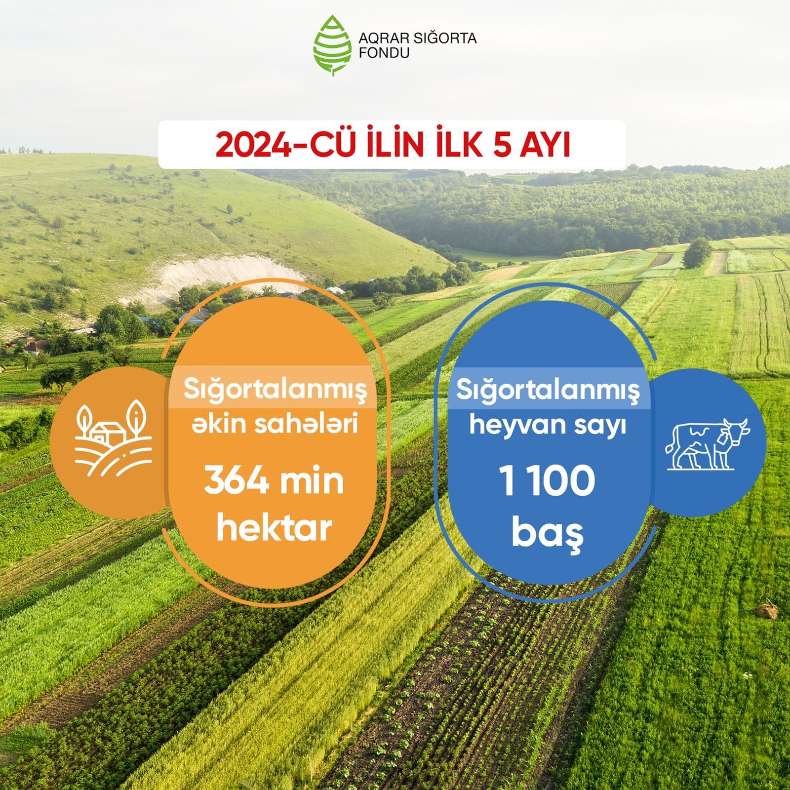 Azərbaycanda fermerlərə sığorta ödənişləri 2 dəfədən çox artıb, sığortalanmış əkinlər 364 min hektara çatıb