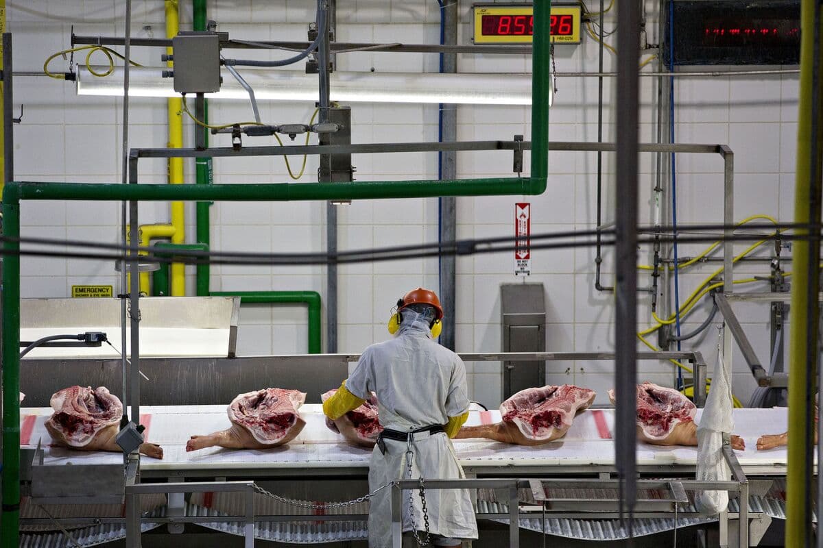 WH Group ABŞ və Meksikadakı Smithfield biznesləri üçün IPO etməyi planlaşdırır