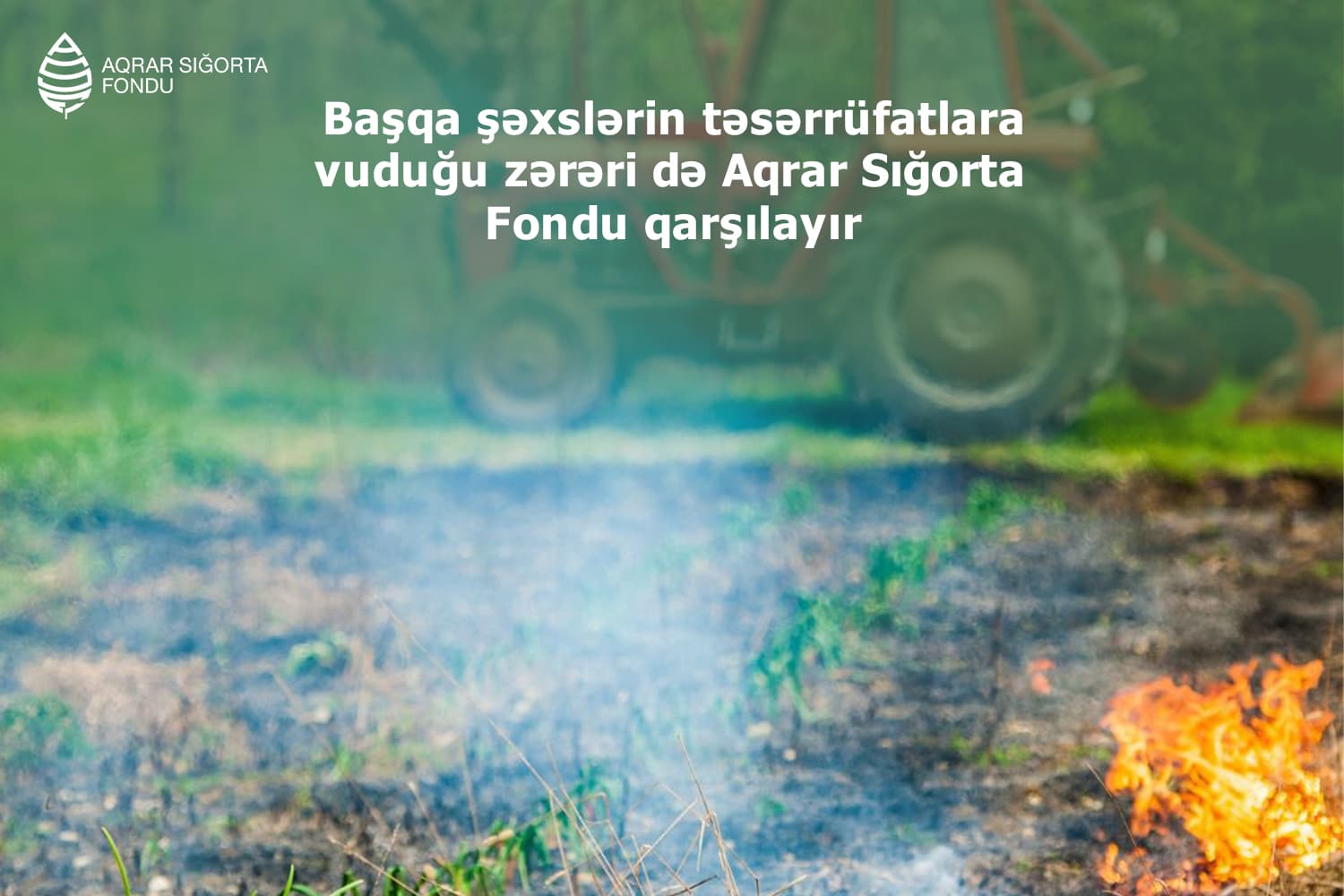 Başqa şəxslərin təsərrüfatlara vuduğu zərəri də Aqrar Sığorta Fondu qarşılayır