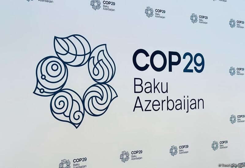 COP29 prezidenti Braziliya və Avstraliya nümayəndə heyətləri ilə iqlim gündəmini müzakirə edib