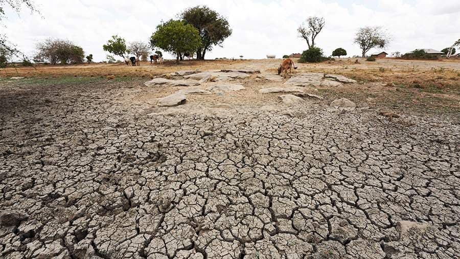 Mütəxəssislər iqlim böhranı səbəbindən 2030-cu ilə qədər 600 milyon insanın aclıqla üzləşəcəyini proqnozlaşdırırlar