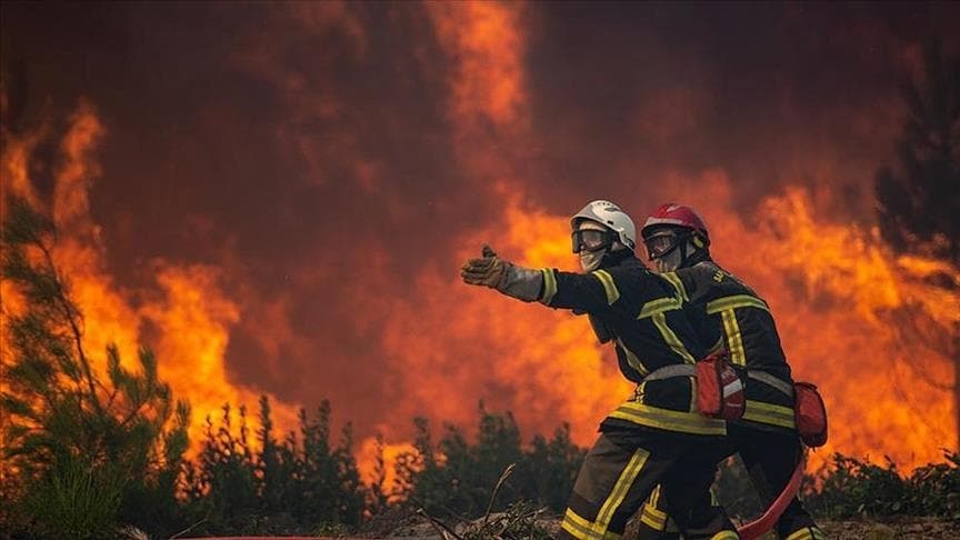 Qlobal istiləşmə və meşə yanğınları: 2023–2024 Hesabatı