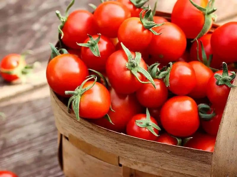 Azərbaycanın pomidor ixracı 12,4% artıb