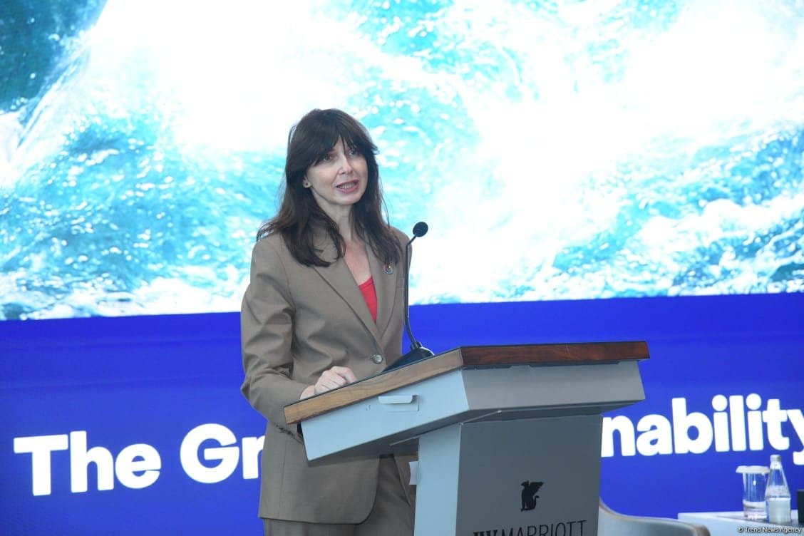Dünya iqlim problemlərini həll etmək üçün ən yeni maliyyə alətlərinə ehtiyac duyur - Vladanka Andreyeva