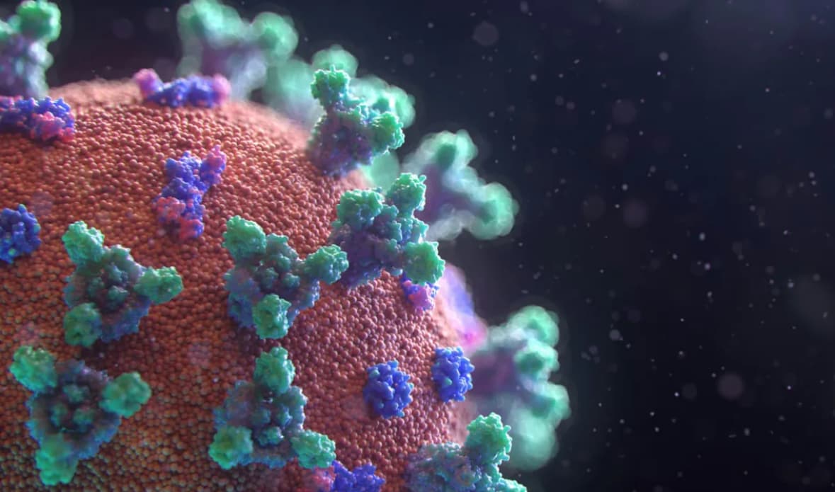 ABŞ-da uşaqlar üçün təhlükəli olan virus sürətlə yayılır