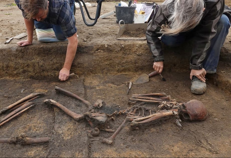 Danimarkada vikinqlərə aid 50 skelet tapılıb