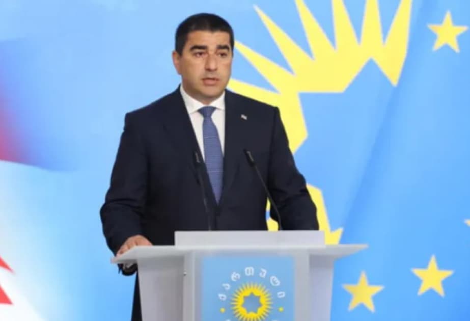 Papuaşvili: Qərb siyasətçiləri son bir ayda Gürcüstanla bağlı 90-dan çox tənqidi bəyanat veriblər