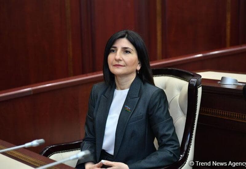Azərbaycanın Zəfərinin arxasında Prezident İlham Əliyevin qətiyyətli və məqsədyönlü siyasəti dayanır - Sevil Mikayılova