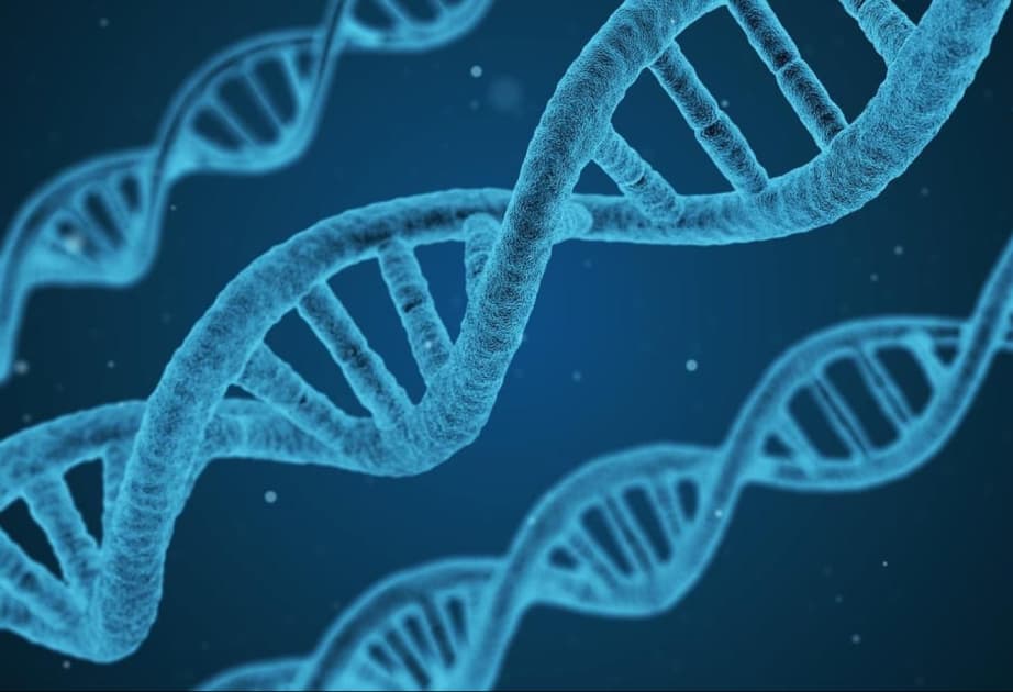 Alimlər: Genetik xəstəliklərin müalicəsində ciddi irəliləyişin təməli qoyulur