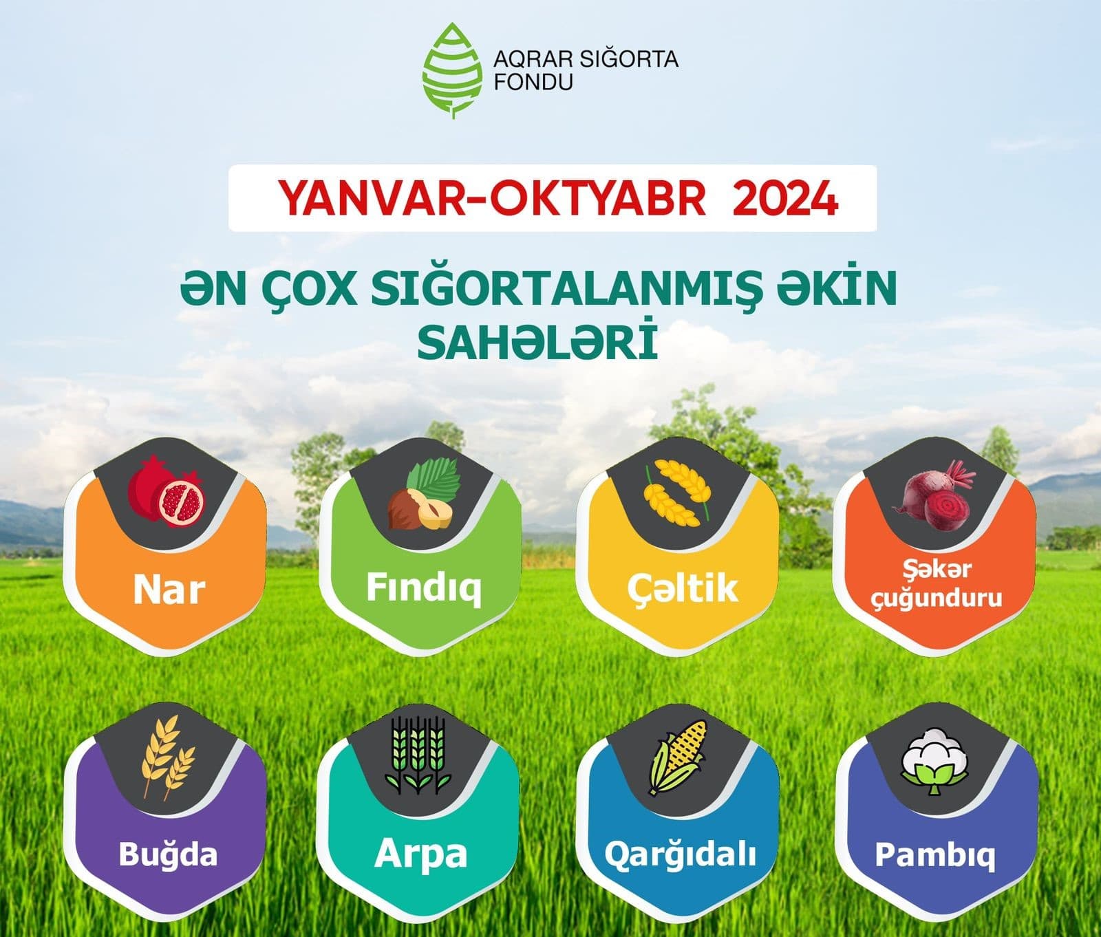 Meyvə bağları və əkin sahələri üzrə -
AQRAR SIĞORTA ÖDƏNİŞLƏRİ 4 DƏFƏ ARTIB
