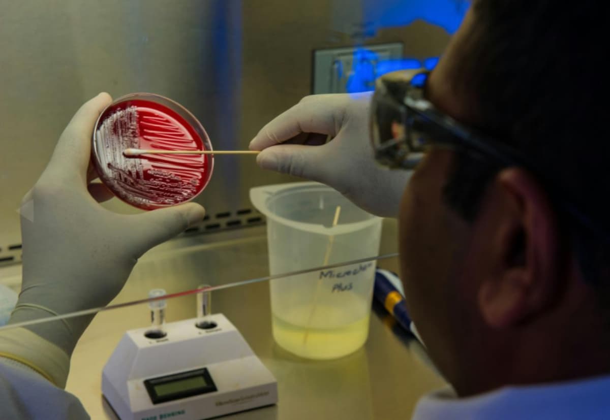 Alimlər: Antibiotiklərə davamlı bakteriyaların yayılması səhiyyə sahəsində ciddi narahatlıq doğurur
