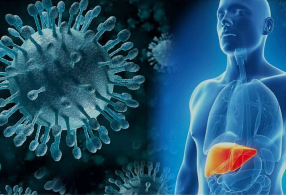 Alimlər hepatit virusunun təkamül mənşəyini aşkar ediblər
