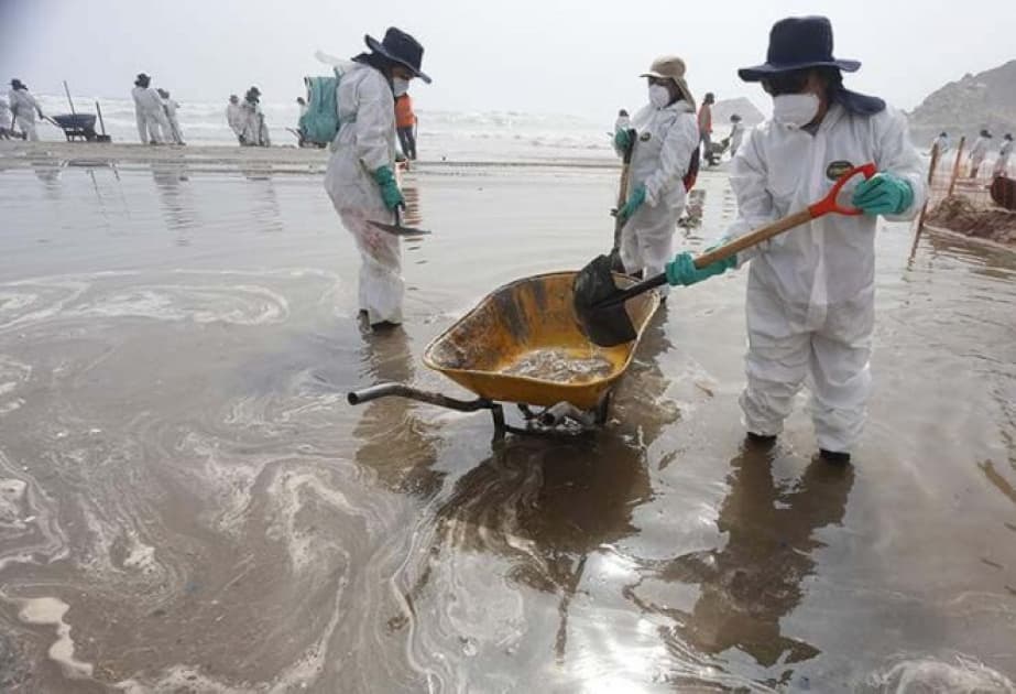 Peru sahillərinin bir hissəsi neft sızması səbəbindən ekoloji fəlakət zonası elan edilib