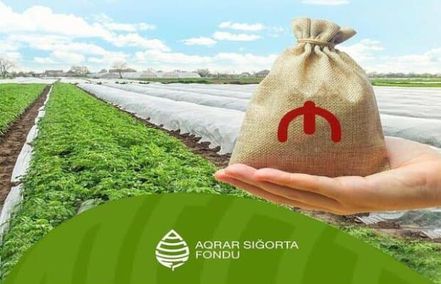 Sığorta ödənişləri 45,5% artıb