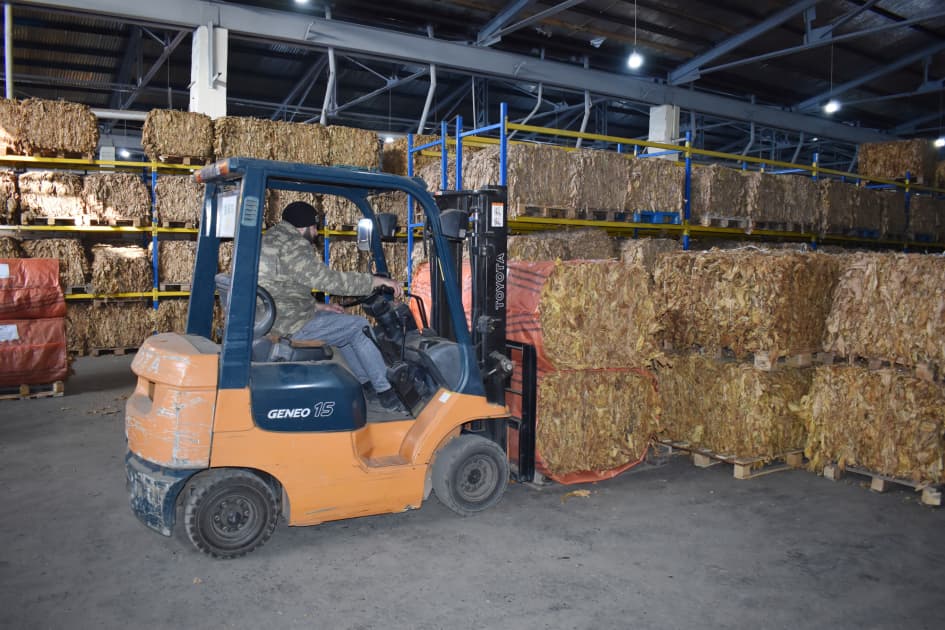 "Zaqatala AGRO Industry" MMC 160 ton tütün ixrac edib