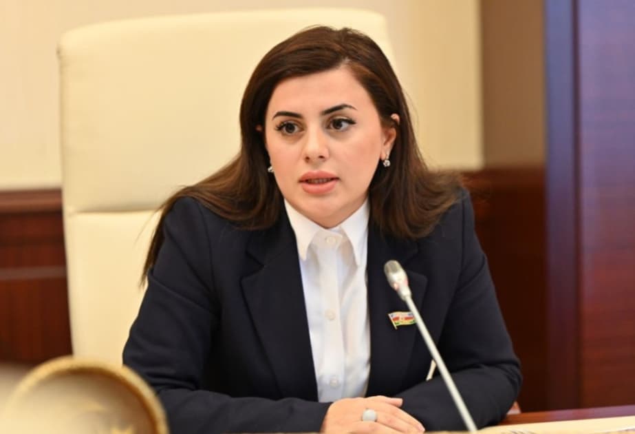 Azərbaycan və Gürcüstan arasındakı münasibətlər bütün sahələrdə inkişaf edir –ŞƏRH