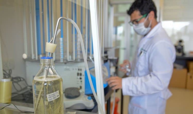 Bu ölkə kənd təsərrüfatı biotexnologiyasının lideri olur