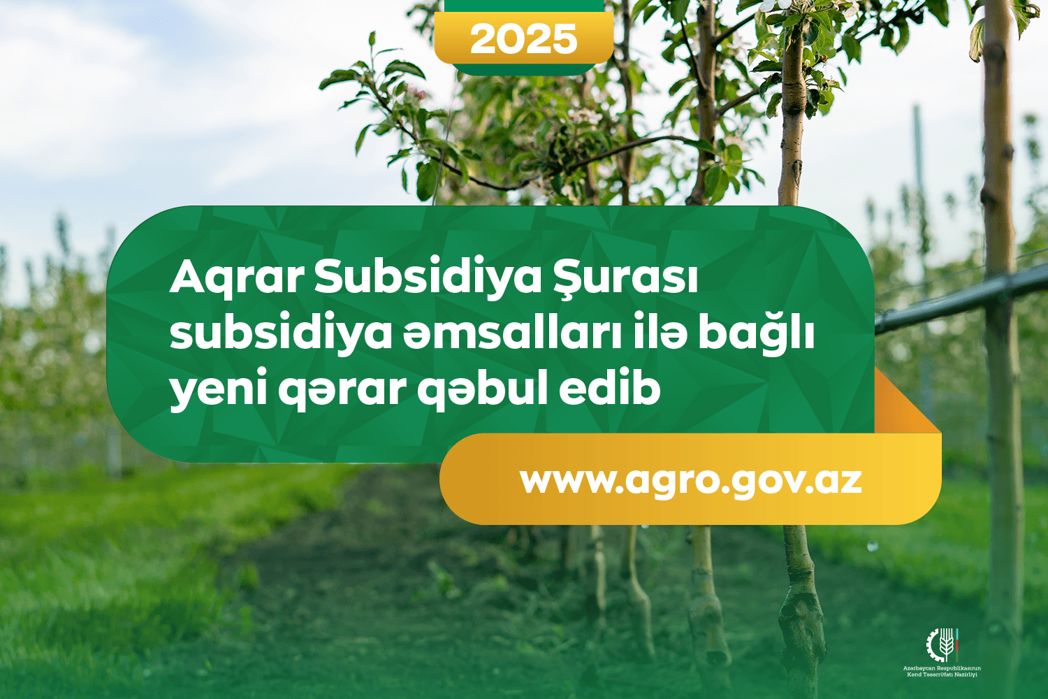 Subsidiya əmsalları ilə bağlı yeni qərarlar qəbul edilib