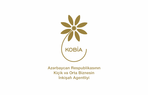 Ötən il 13 mindən çox sahibkara dəstək olunub