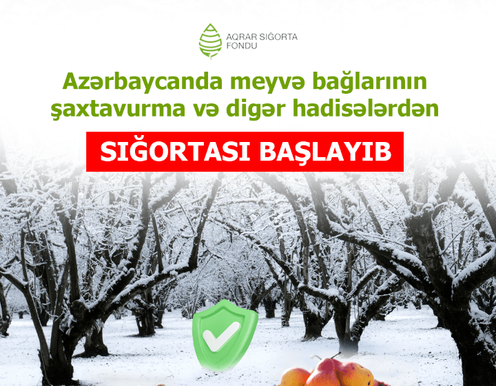 Meyvə bağlarının sığortası mövsümü başlayıb