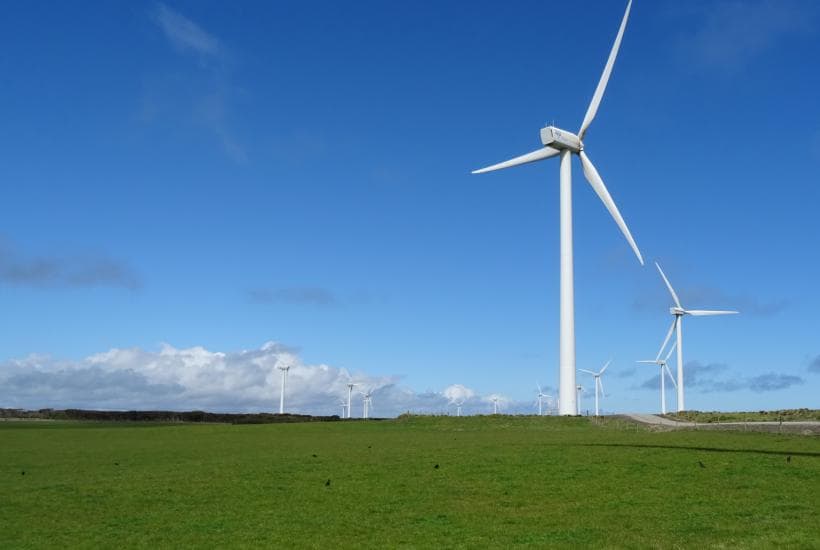 Norveç külək enerjisinə investisiyaları dayandırmağı təklif edir