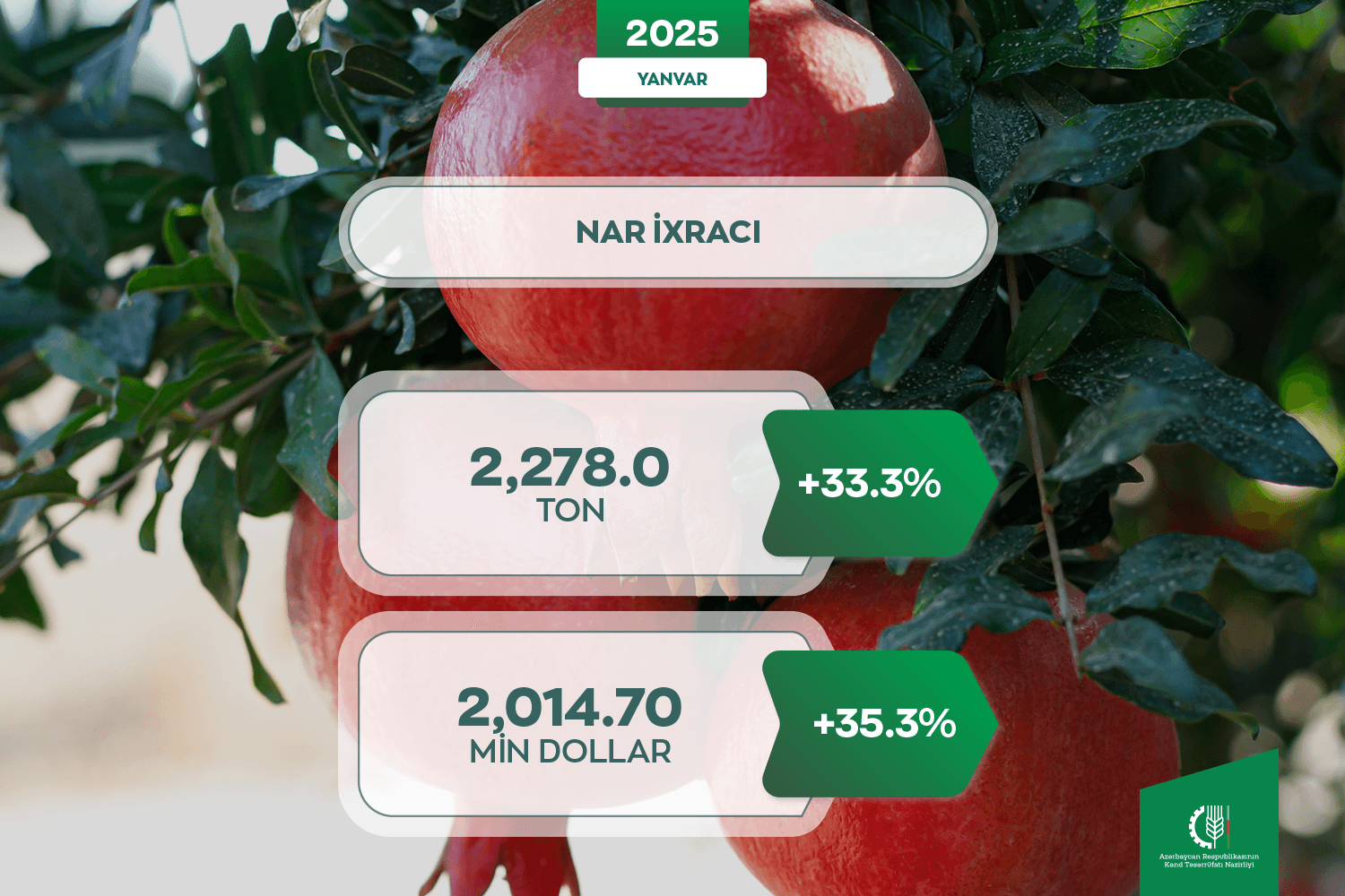 Azərbaycandan nar ixracının həcmi artıb