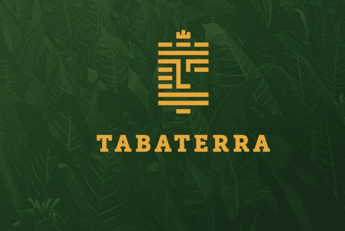 “TABATERRA” MMC – 2024-cü ildə 689,3 milyon manat vergi ödəyib