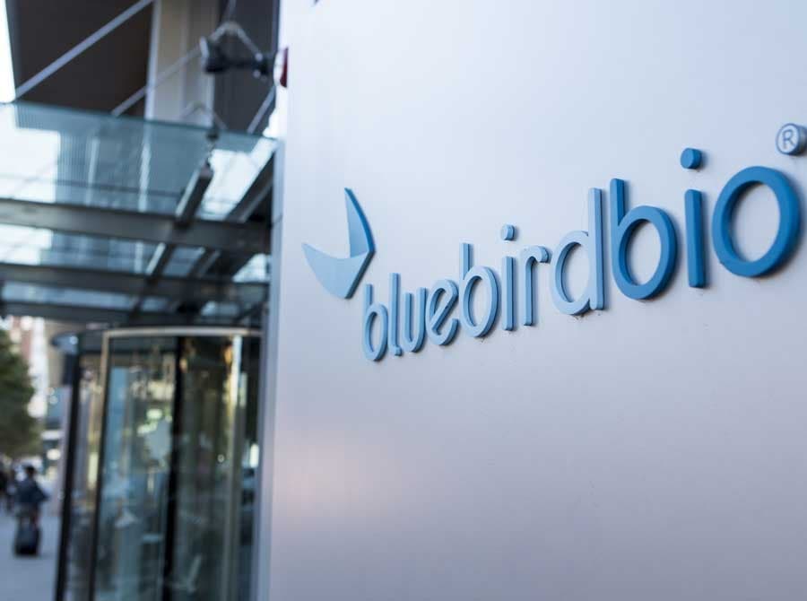 Biotech Bluebird Bio 30 milyon dollara özəl kapital şirkətlərinə satılacaq