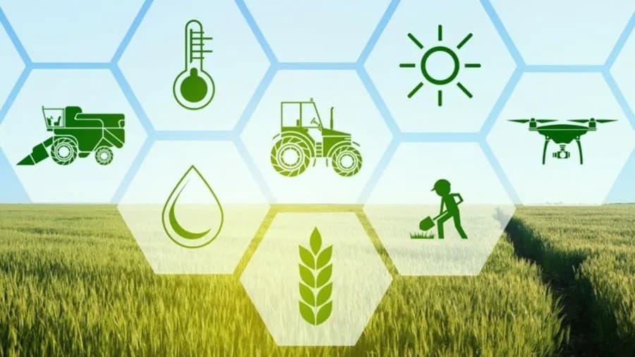 Son 5 ildə aqrar sığorta bazarında toplanan vəsait 14,2 milyon manata çatıb