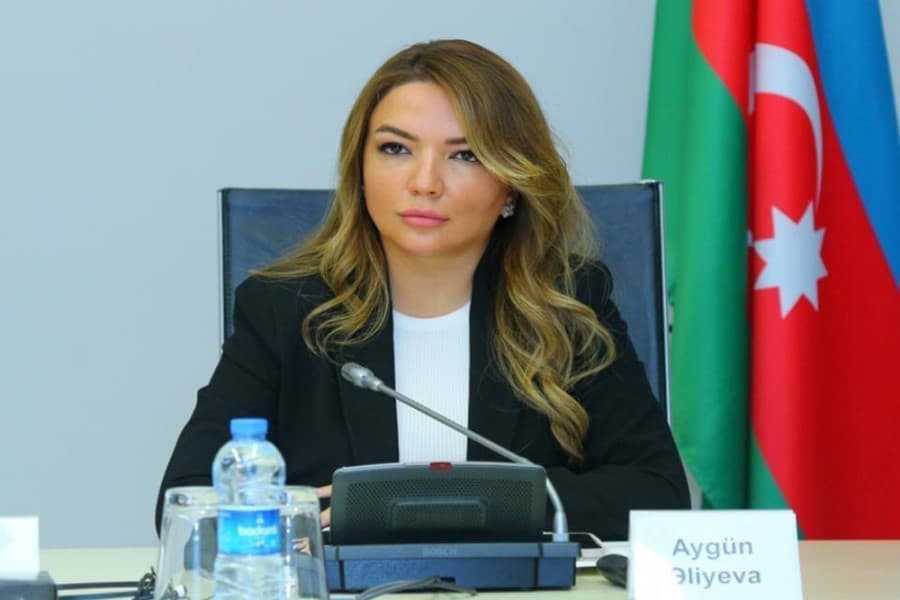 Aygün Əliyeva: QHT-lər ictimai, milli və sosial məsələlərdə aktiv iştirak edirlər
