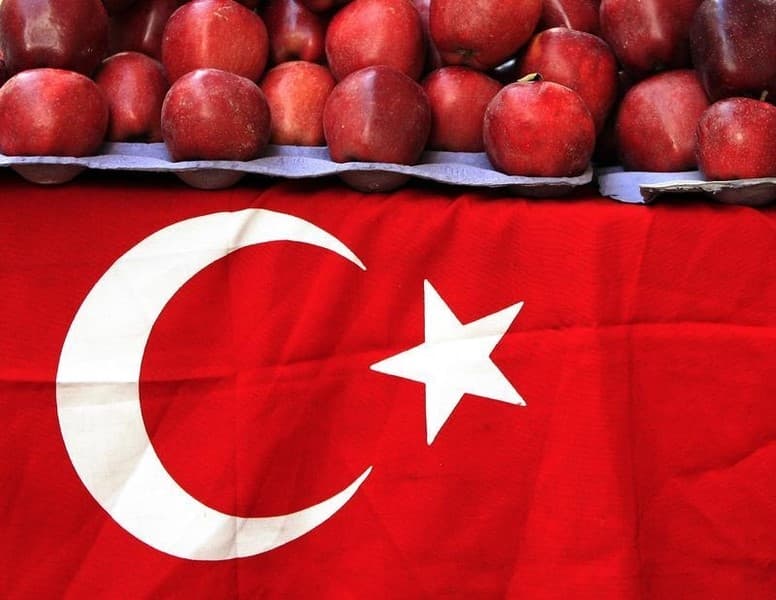 Türkiyədə illik inflyasiya düşüb