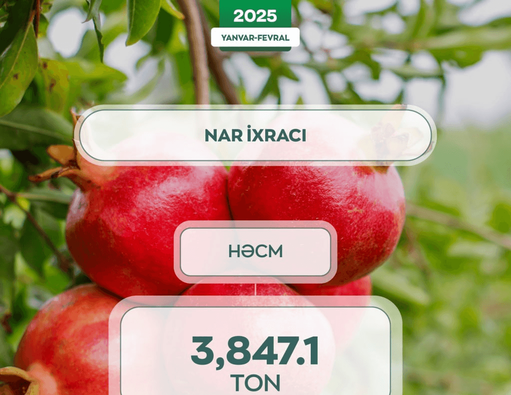 Azərbaycan nar ixracını artırıb