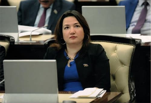 Pərvin Kərimzadə: Azərbaycan neft və qazla regionda güclənir