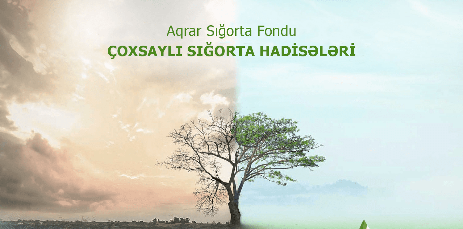 Təsərrüfatlara zərər dəyməsi barədə Aqrar Sığorta Fonduna 76 müraciət daxil olub