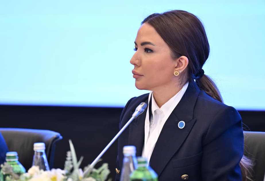 Aygün Əliyeva: “Həmrəy fəaliyyətlə konkrekt nəticələr əldə etməliyik”
