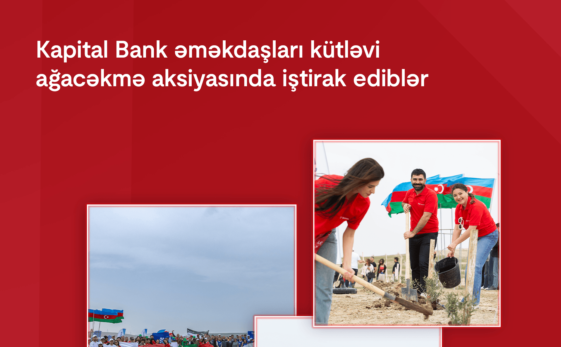 Kapital Bank əməkdaşları kütləvi ağacəkmə aksiyasında iştirak ediblər