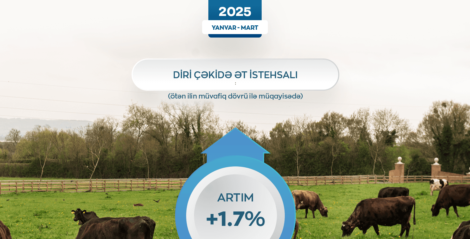 Azərbaycanda diri çəkidə ət istehsalı artıb