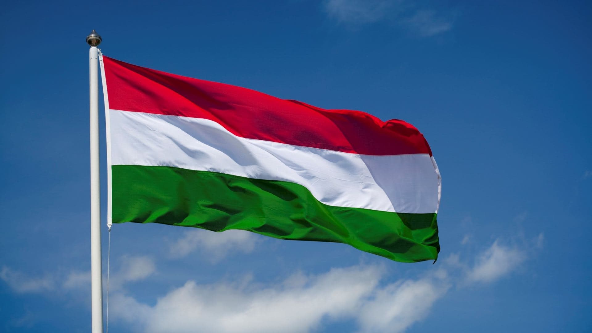 Azərbaycan və Macarıstan arasında ticarət dövriyyəsi artıb