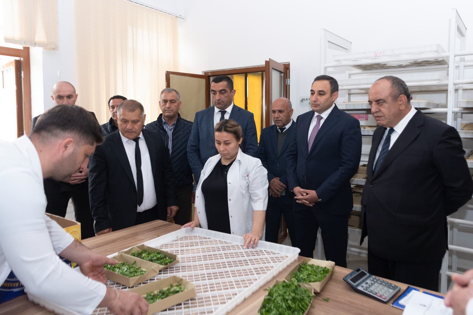 Azərbaycanda 2025-ci il barama istehsalı mövsümünə start verilib