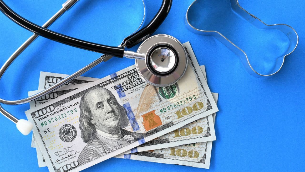 Bölgələrdə fəaliyyət göstərən klinikalara 9%-lə kredit imkanı təqdim olunur